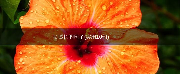 长城长的句子(实用10句),第1张