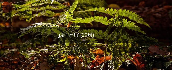 j发音句子(20句),第1张