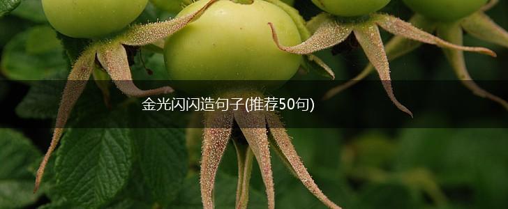 金光闪闪造句子(推荐50句),第1张