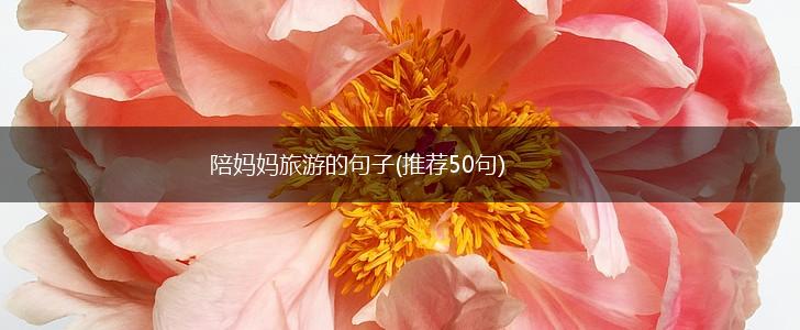 陪妈妈旅游的句子(推荐50句),第1张