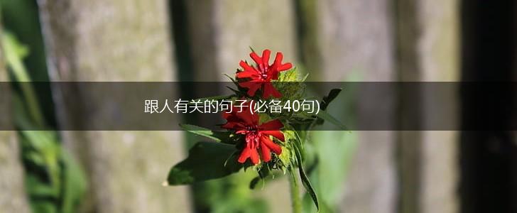 跟人有关的句子(必备40句),第1张