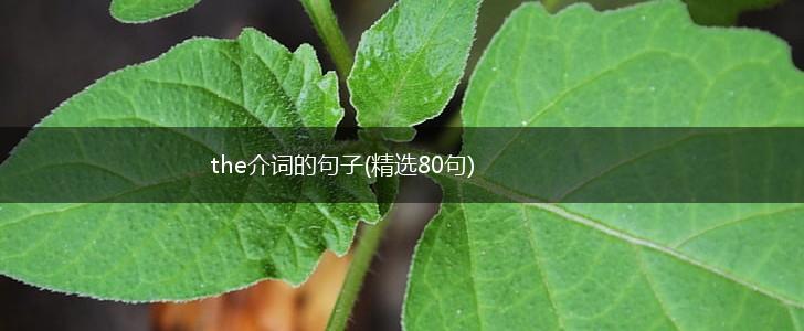 the介词的句子(精选80句),第1张