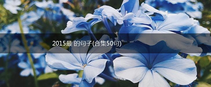2015最 的句子(合集50句),第1张