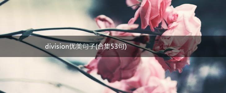 division优美句子(合集53句),第1张