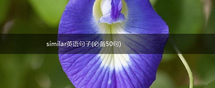 similar英语句子(必备50句),第1张