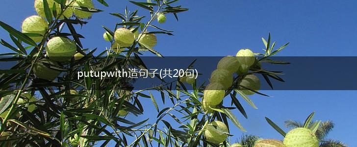 putupwith造句子(共20句),第1张