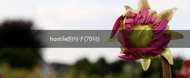hostile的句子(70句),第1张