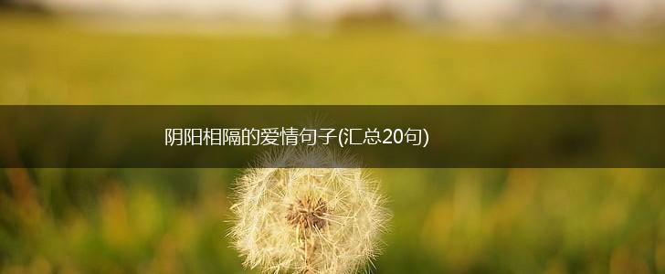 阴阳相隔的爱情句子(汇总20句),第1张