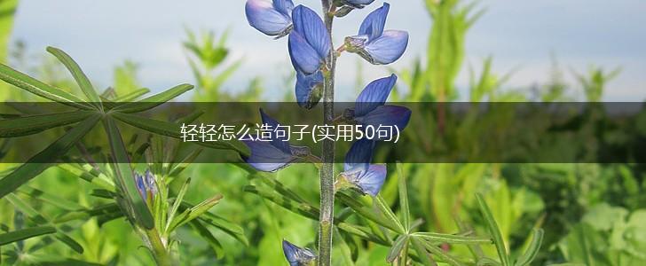 轻轻怎么造句子(实用50句),第1张