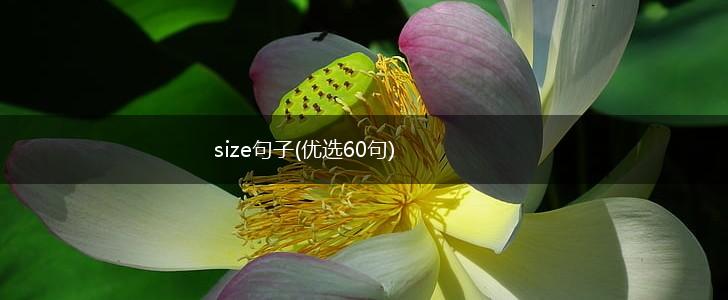 size句子(优选60句),第1张
