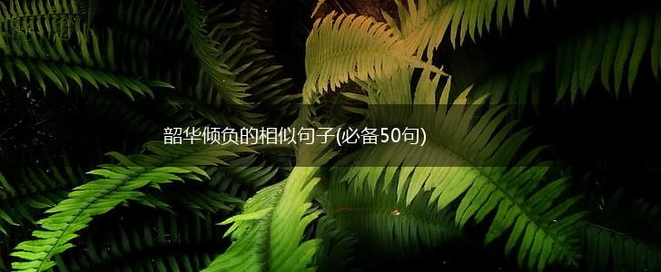 韶华倾负的相似句子(必备50句),第1张