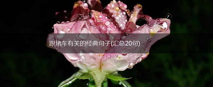 跟堵车有关的经典句子(汇总20句),第1张