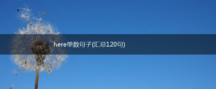 here单数句子(汇总120句),第1张