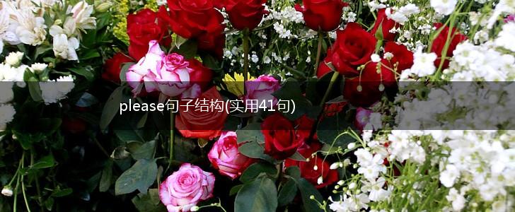 please句子结构(实用41句),第1张
