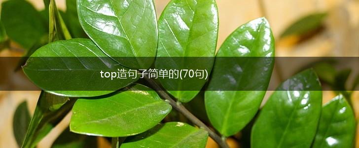 top造句子简单的(70句),第1张