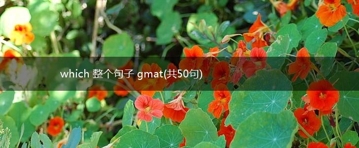 which 整个句子 gmat(共50句),第1张