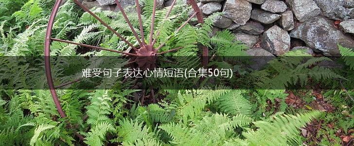 难受句子表达心情短语(合集50句),第1张