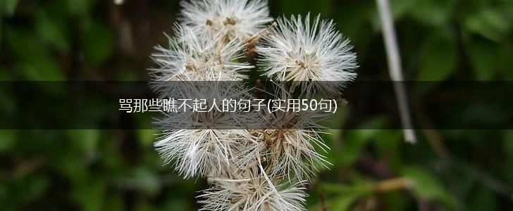 骂那些瞧不起人的句子(实用50句),第1张
