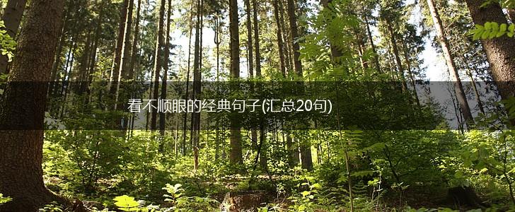 看不顺眼的经典句子(汇总20句),第1张