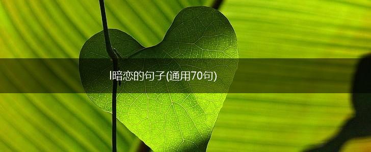 l暗恋的句子(通用70句),第1张
