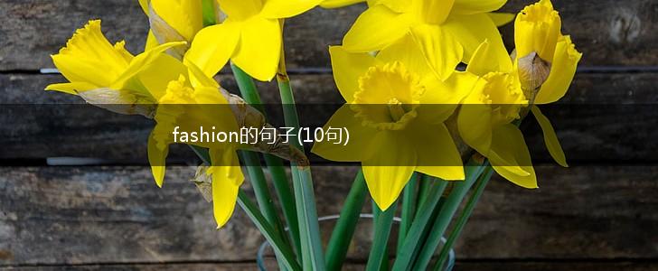 fashion的句子(10句),第1张