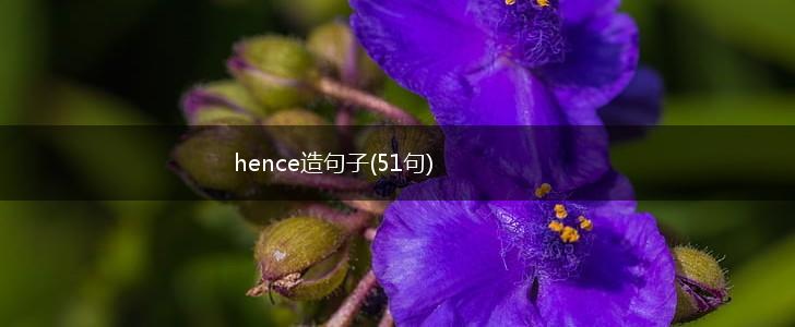 hence造句子(51句),第1张