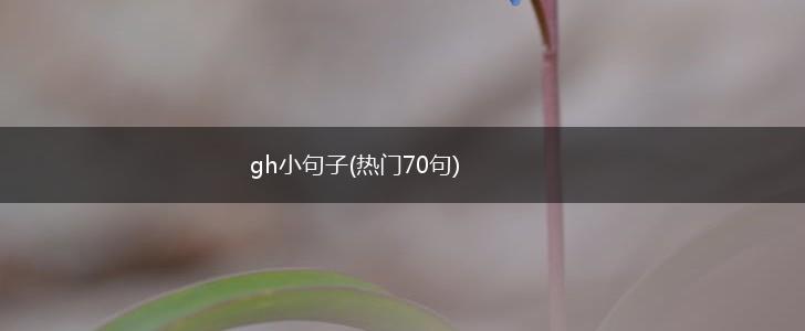 gh小句子(热门70句),第1张