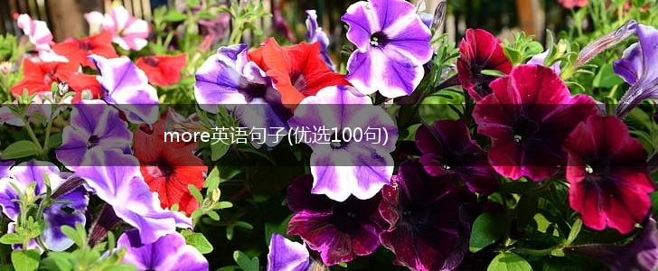 more英语句子(优选100句),第1张