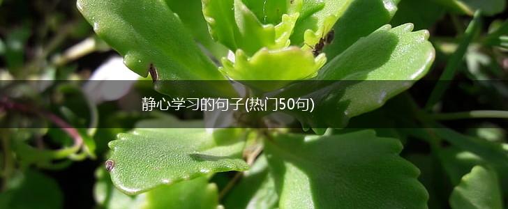 静心学习的句子(热门50句),第1张