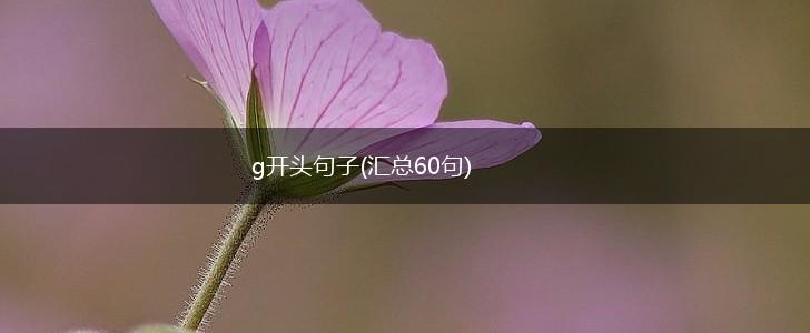 g开头句子(汇总60句),第1张
