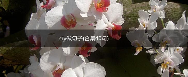 my做句子(合集40句),第1张