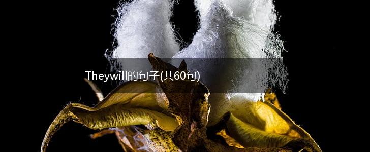 Theywill的句子(共60句),第1张