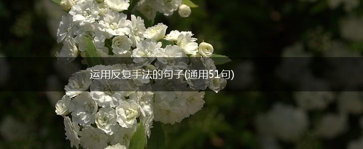 运用反复手法的句子(通用51句),第1张