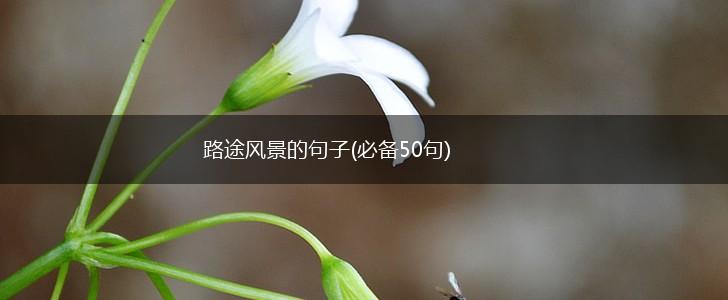 路途风景的句子(必备50句),第1张