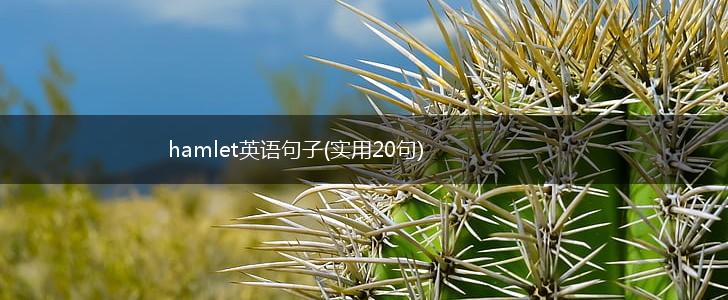 hamlet英语句子(实用20句),第1张