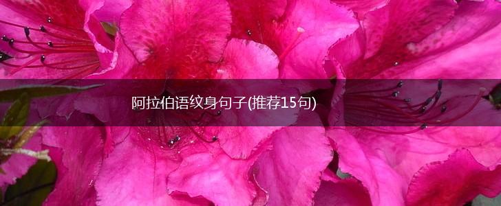 阿拉伯语纹身句子(推荐15句),第1张