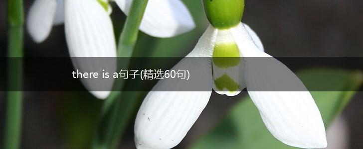 there is a句子(精选60句),第1张
