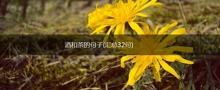 酒和茶的句子(汇总32句),第1张