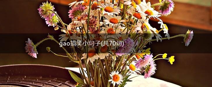 gao搞笑小句子(共70句),第1张