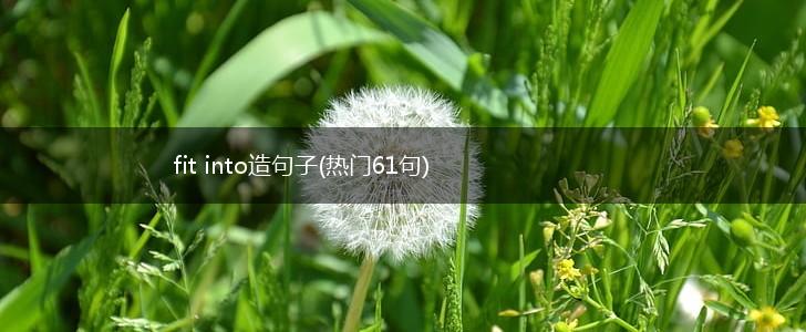 fit into造句子(热门61句),第1张
