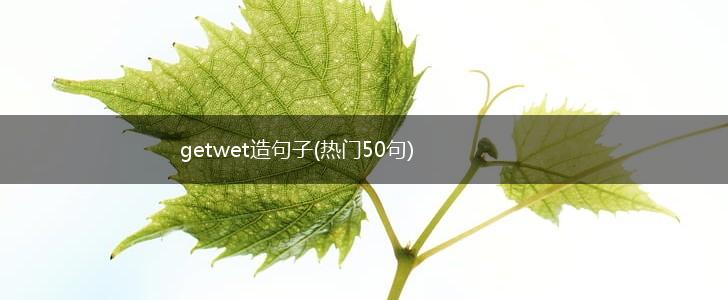 getwet造句子(热门50句),第1张