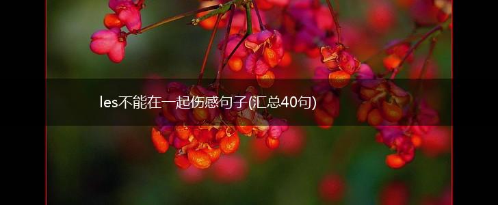 les不能在一起伤感句子(汇总40句),第1张