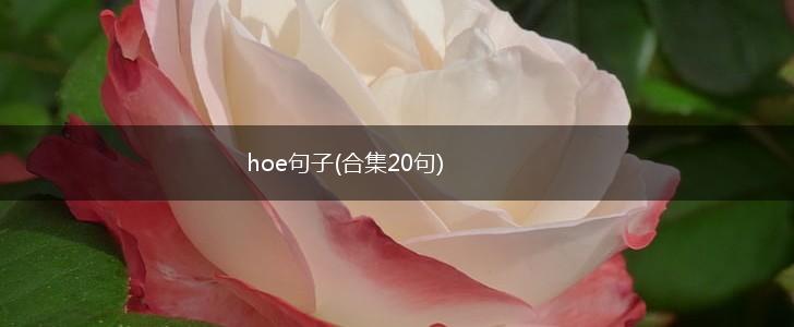 hoe句子(合集20句),第1张