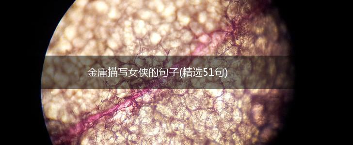 金庸描写女侠的句子(精选51句),第1张