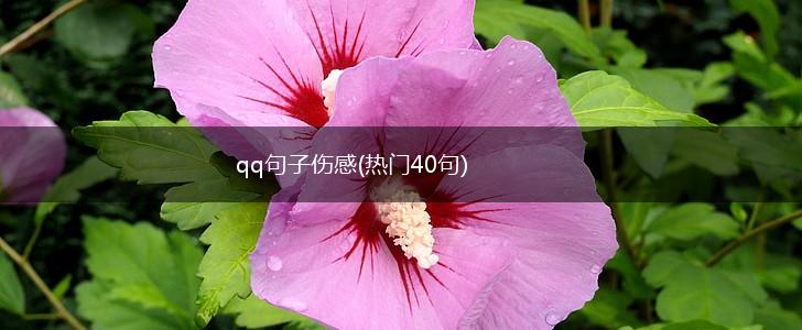 qq句子伤感(热门40句),第1张