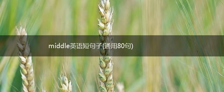 middle英语短句子(通用80句),第1张