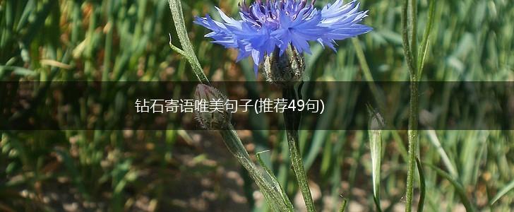 钻石寄语唯美句子(推荐49句),第1张