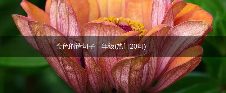 金色的造句子一年级(热门20句),第1张