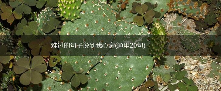 难过的句子说到我心窝(通用20句),第1张