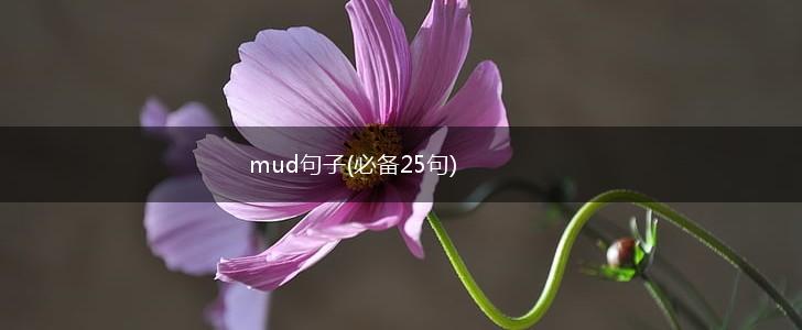 mud句子(必备25句),第1张